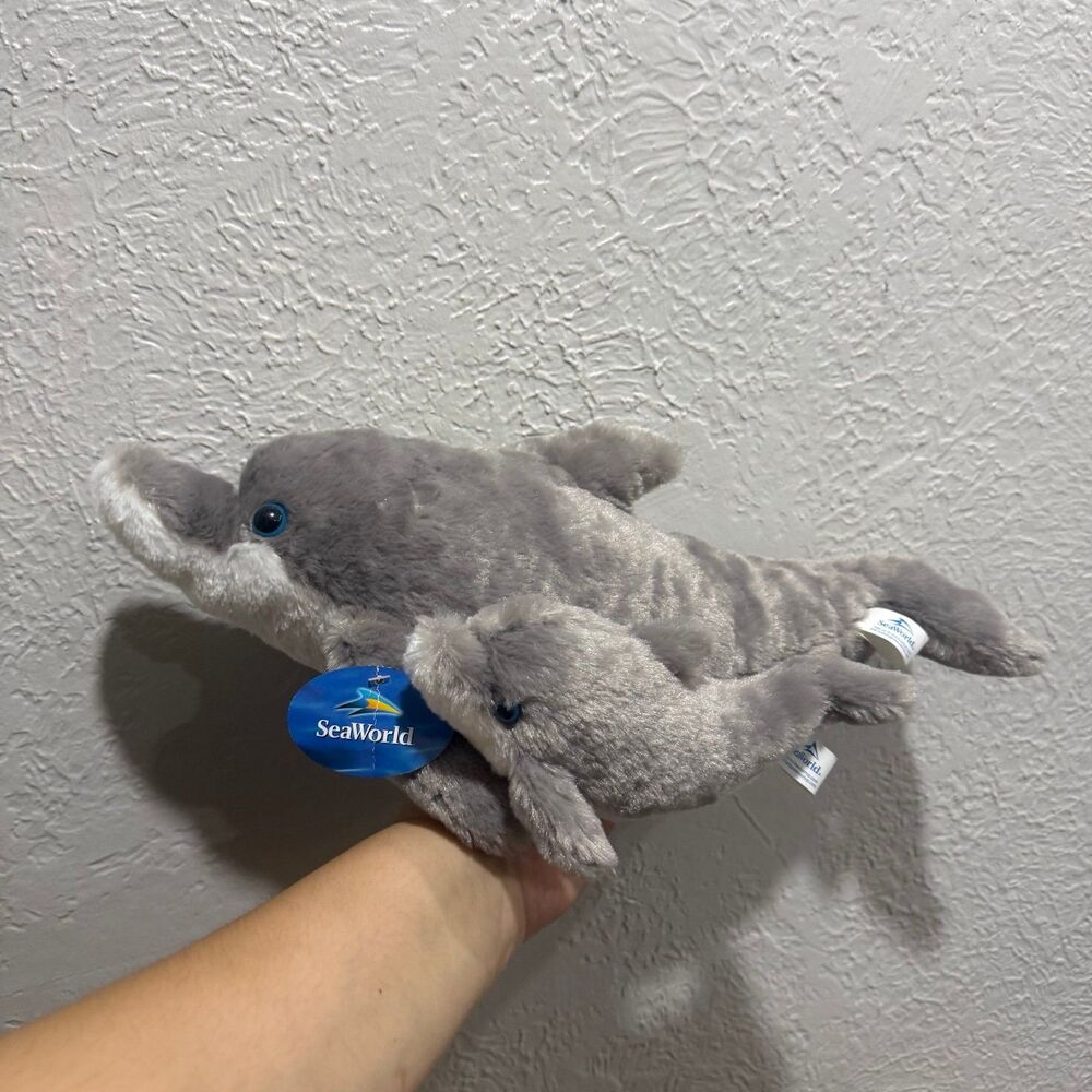 SeaWorld gray dolphin mom carrying baby announcement brand new